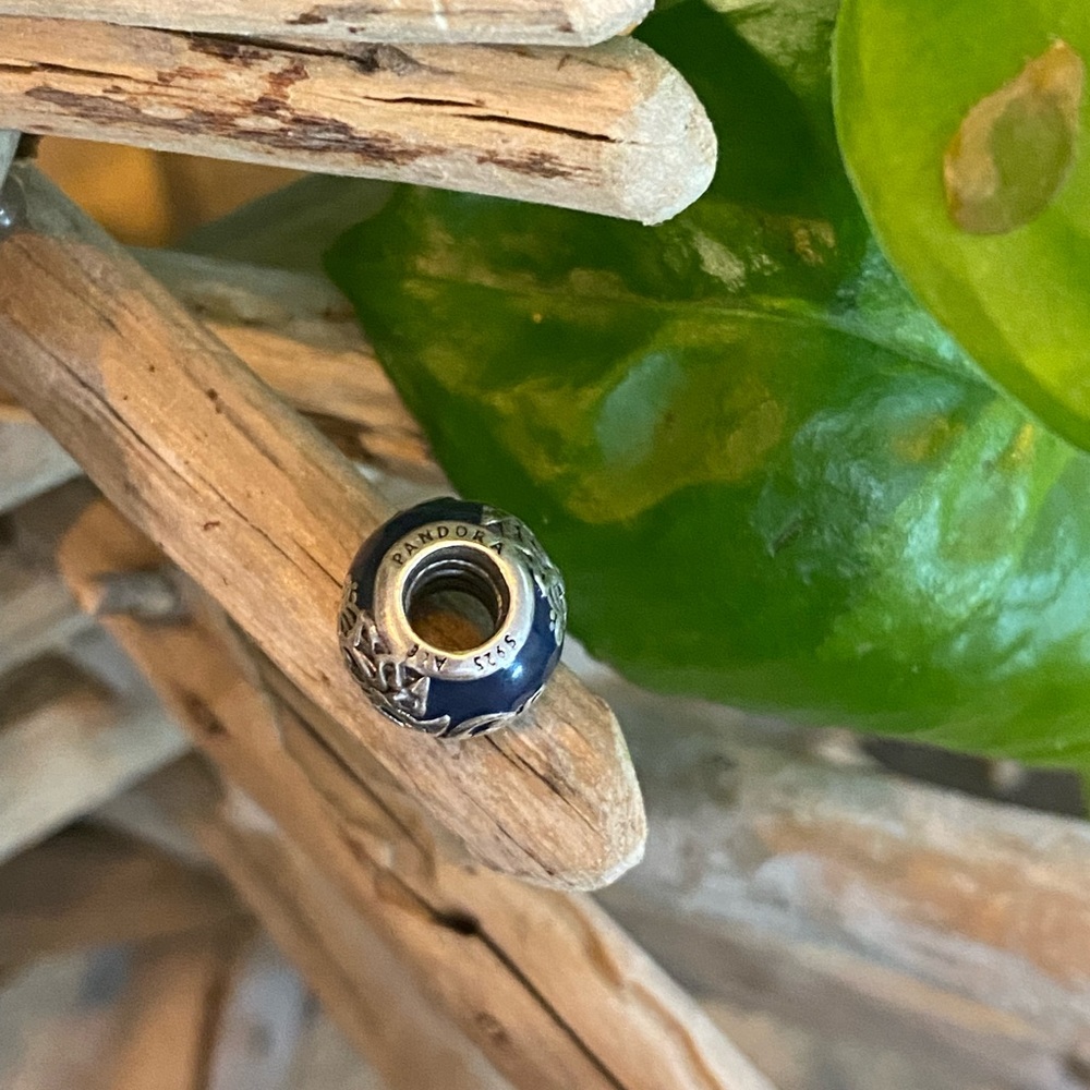 Disney park exclusive Pandora 2016 charm RETIRED